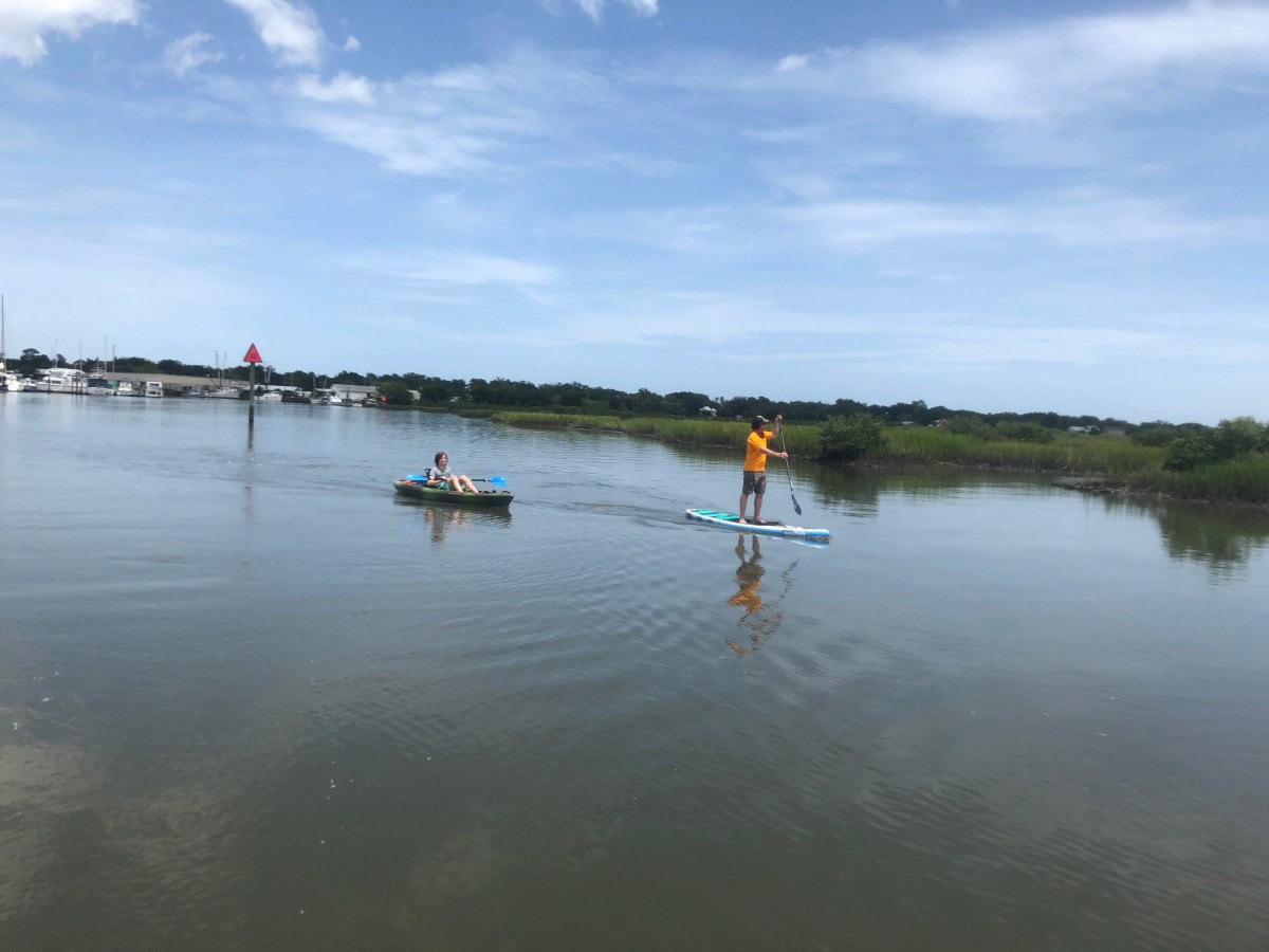 MINI MOVIE // A lunchtime paddle with&nbsp;dolphins!