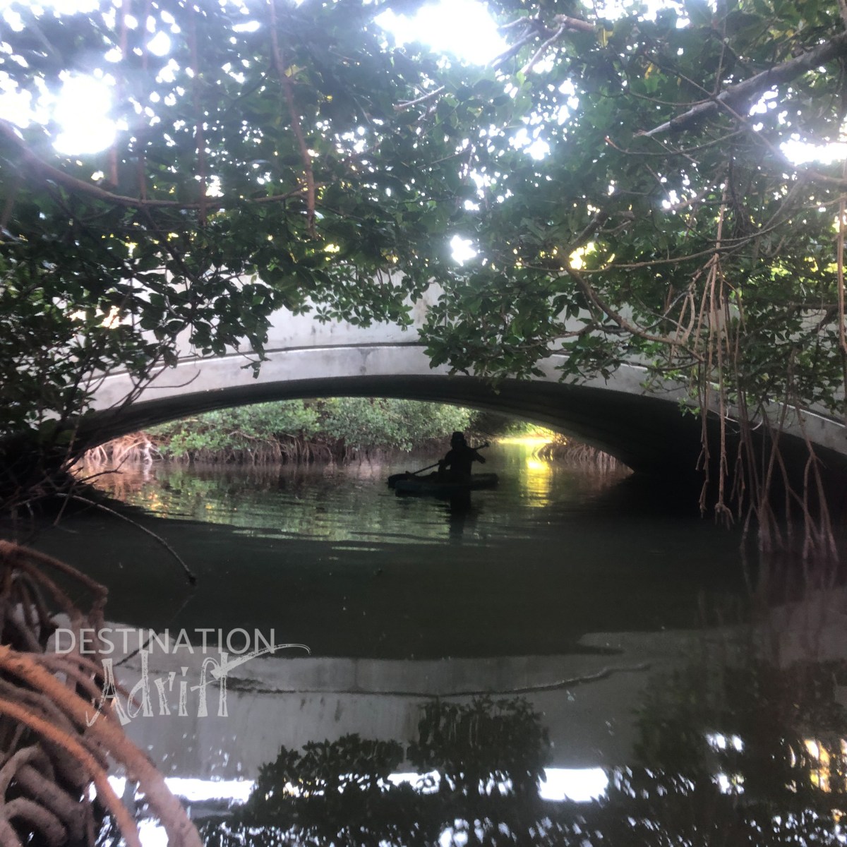 SIMPLY JUST Paddling // Exploring a Mangrove Tunnel, Curry Hammock State&nbsp;Park