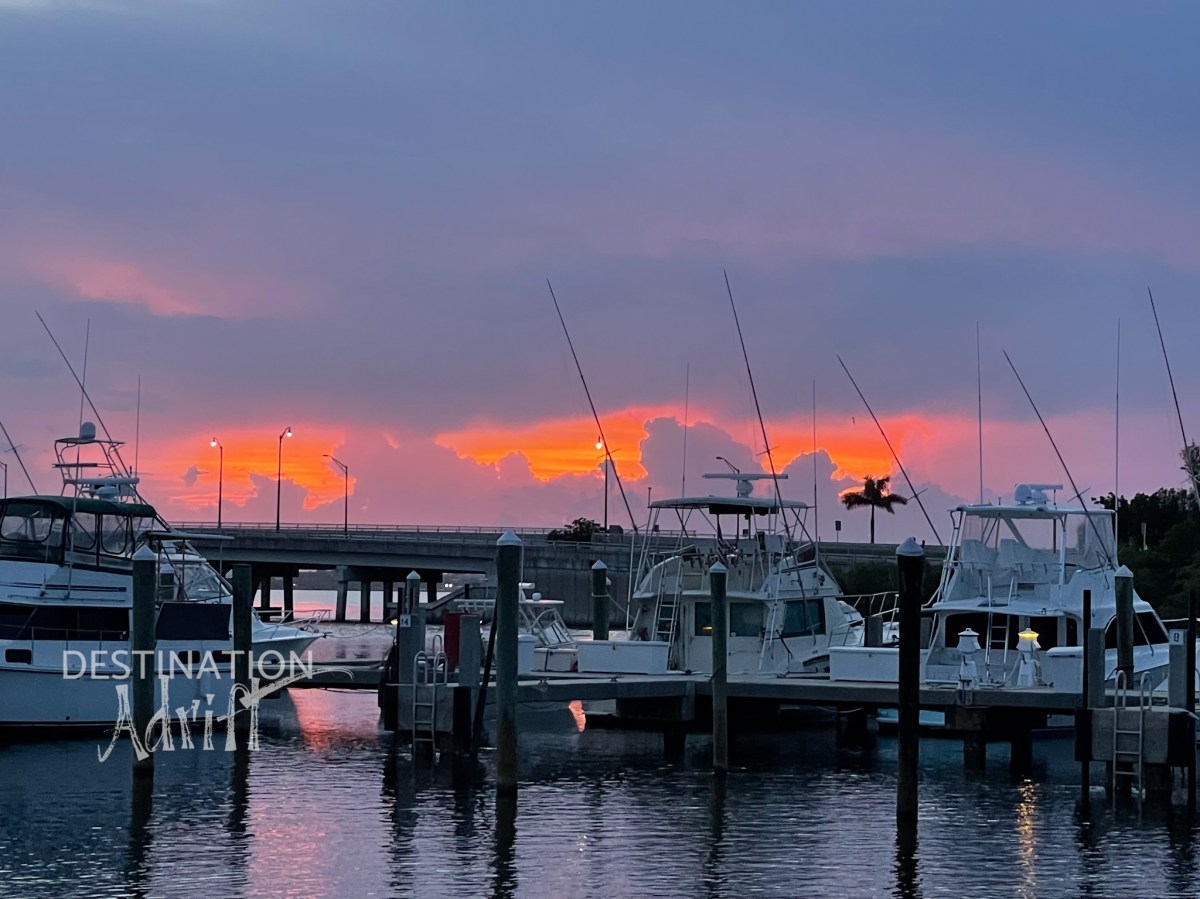 Year Two Starts&nbsp;Now!